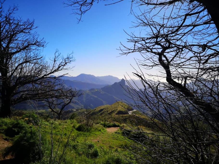 Los Matos, Canarian House In Valleseco Bagian luar foto