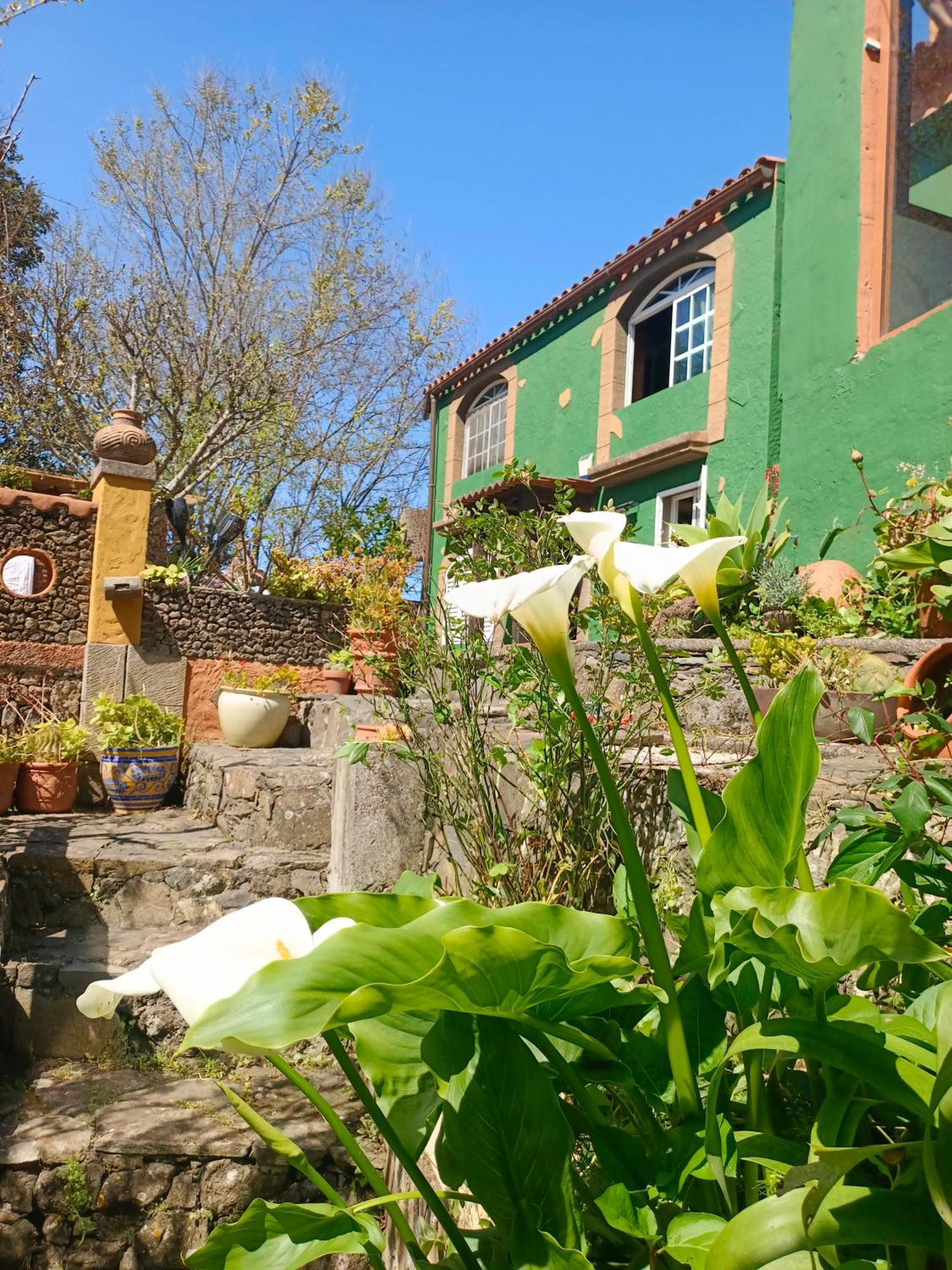 Los Matos, Canarian House In Valleseco Bagian luar foto